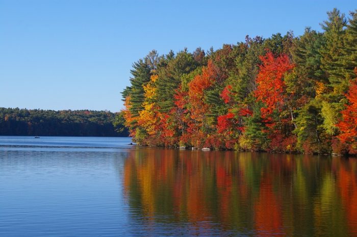 fall-187779_960_720 best fall foliage viewing