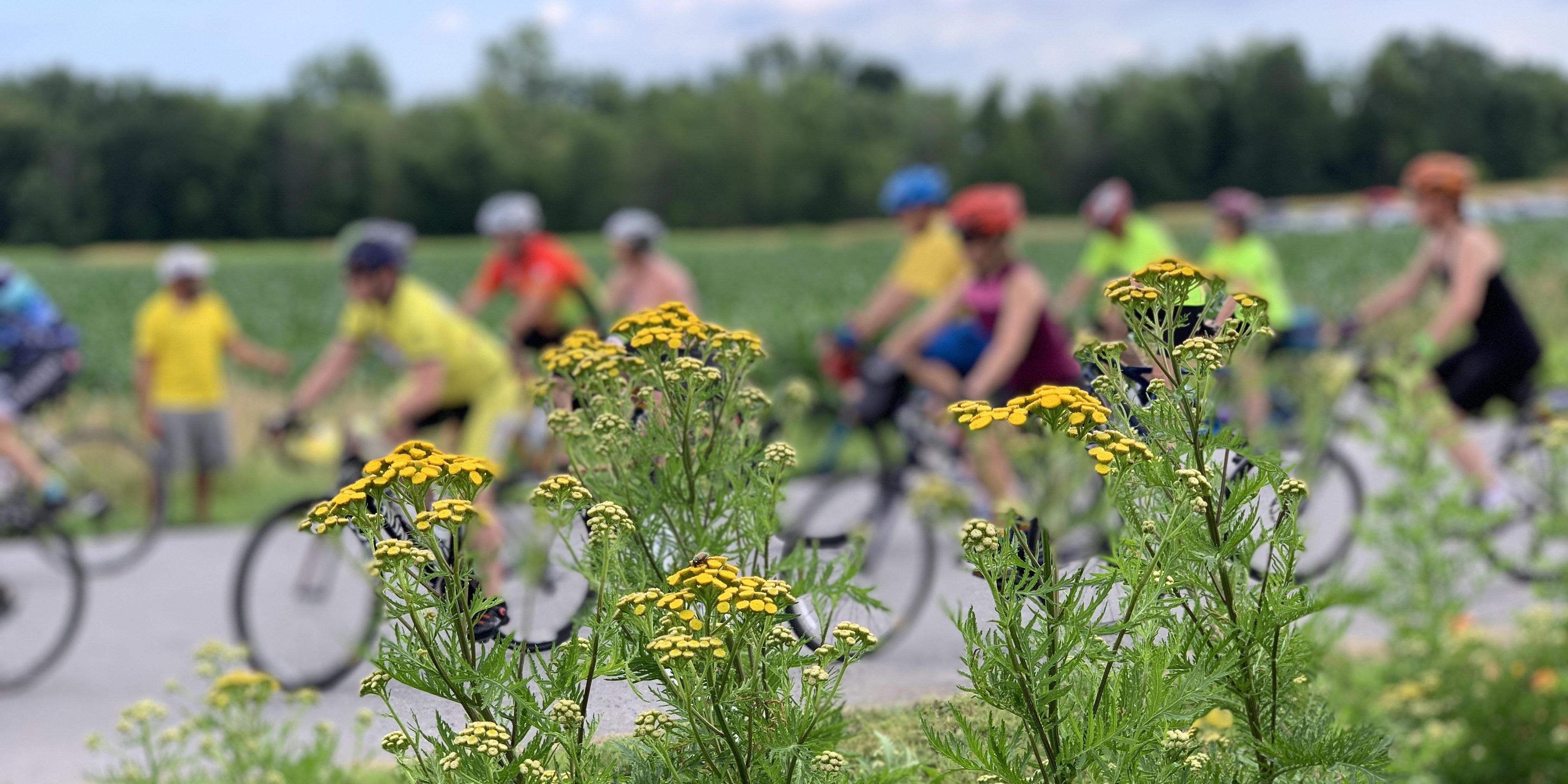 Vacations are Important