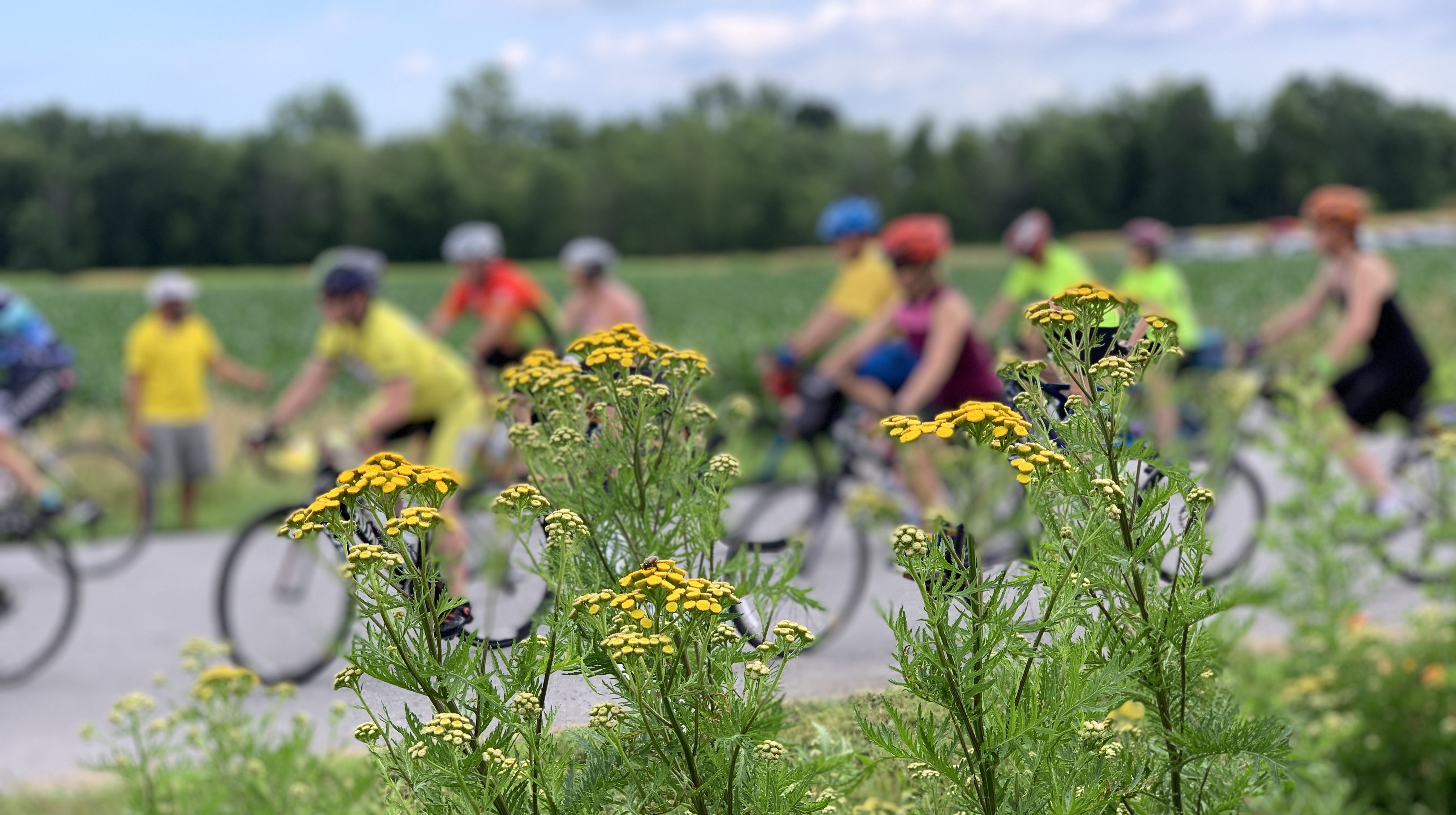 Vermont Farm to Fork Bicycle Vacation · Great Bike Tours - SliDe IMG 0414 1 E1574631006490