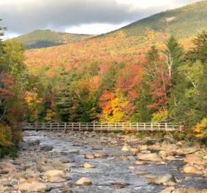 Seeing Fall Foliage by Bicycle