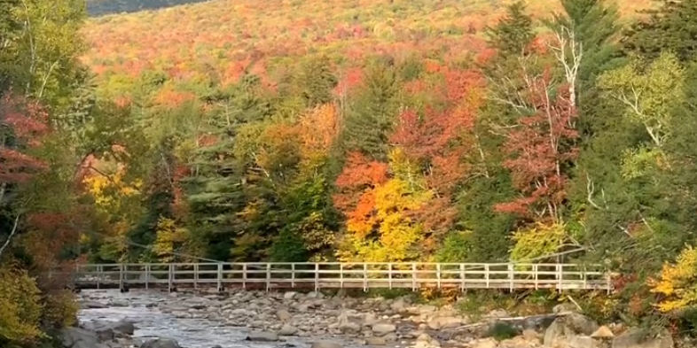 Seeing Fall Foliage by Bicycle