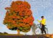 Autumn Cycling Adventures