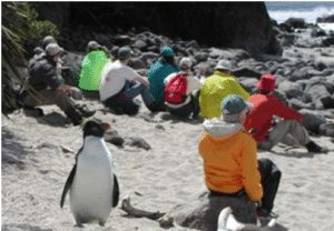 Booking Your First Multi-Sport Vacation